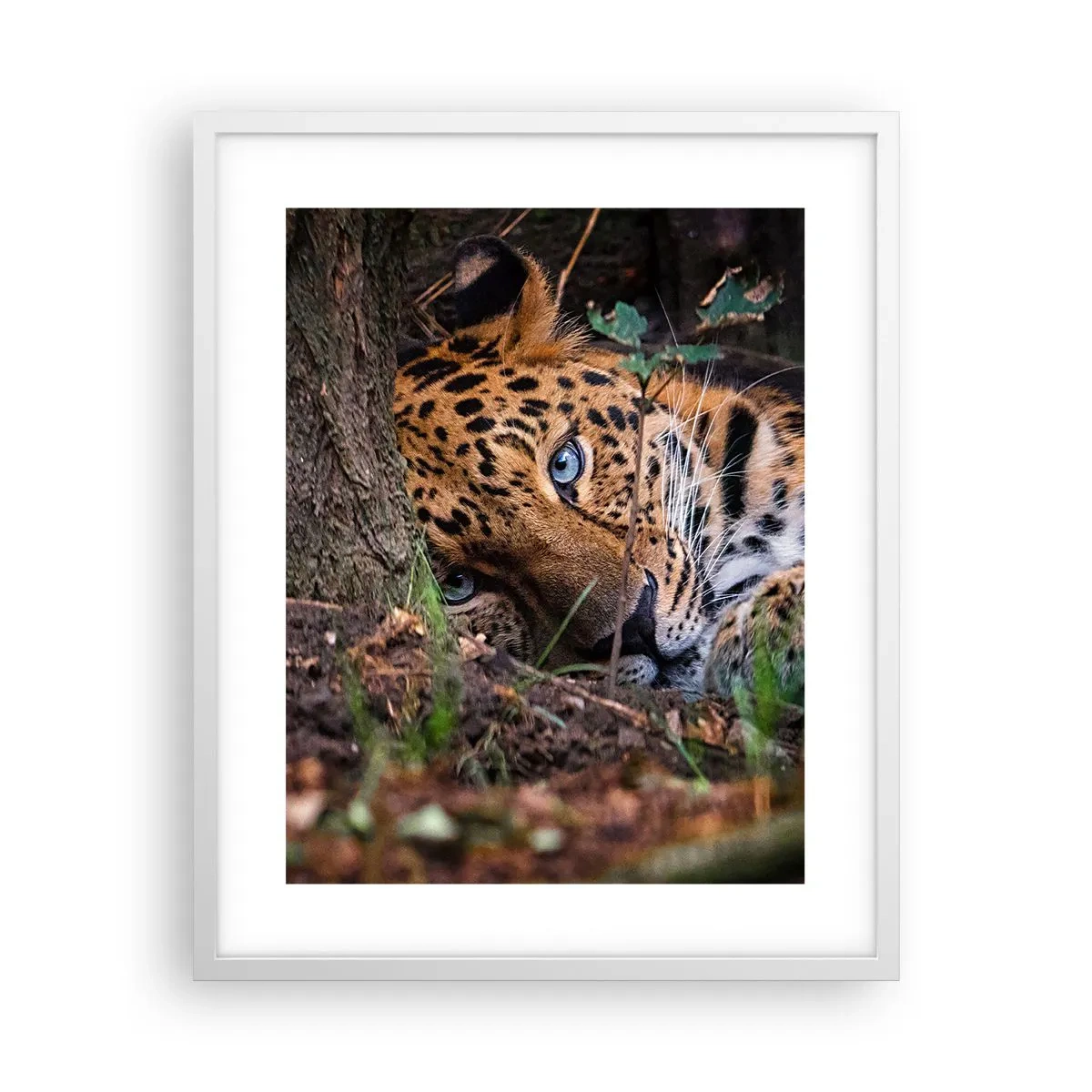 Poster in cornice bianca - Fidati di me - 40x50 cm