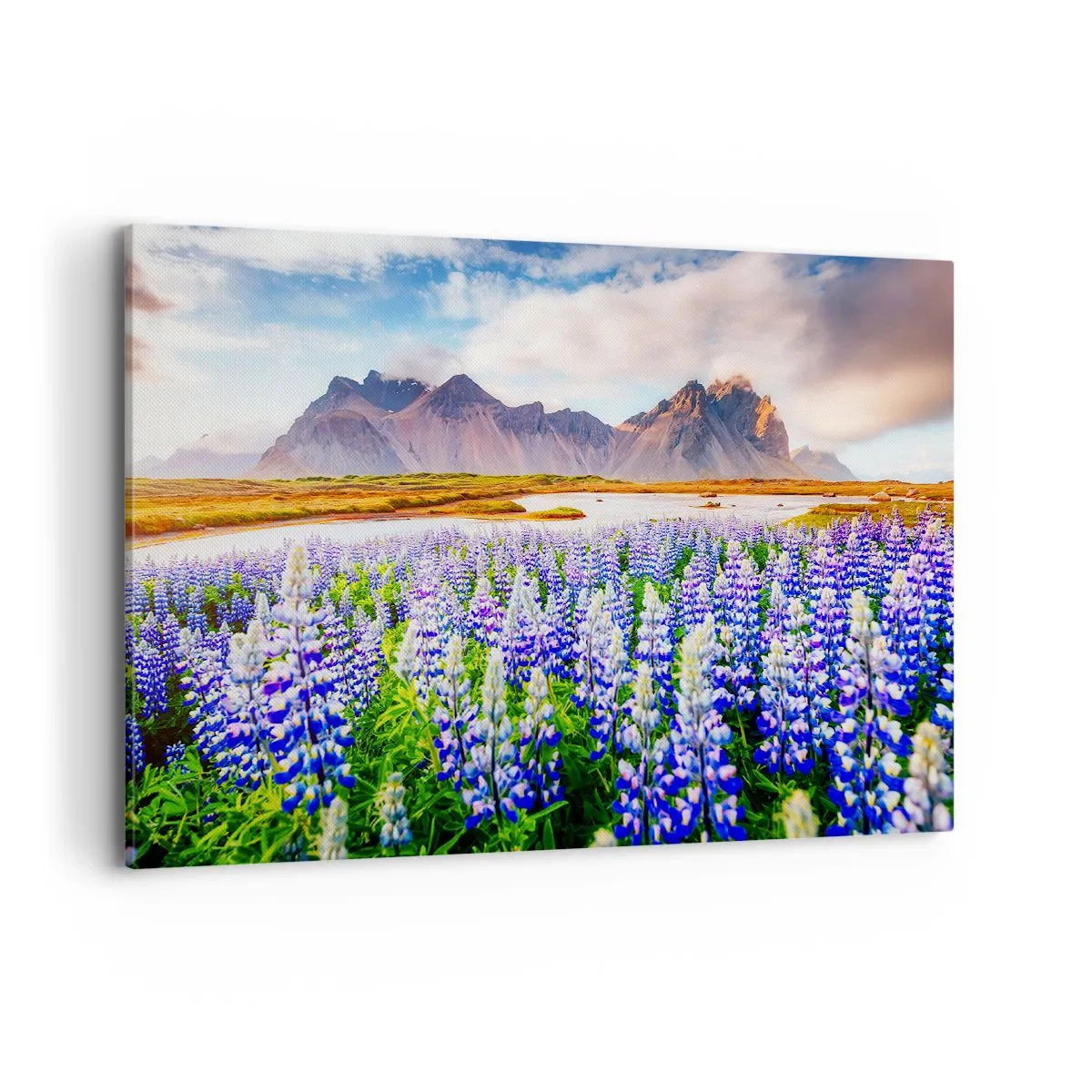 Quadro su tela - Stampe su Tela - Fiori in un paesaggio montano con un cielo pittoresco - 100x70cm - Forza e asprezza accanto alla mitezza - Decorazione murale moderna per soggiorno e camera da letto ARTTOR