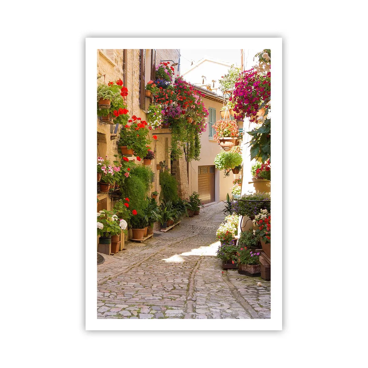 Poster - Un'esplosione di fiori - 61x91 cm