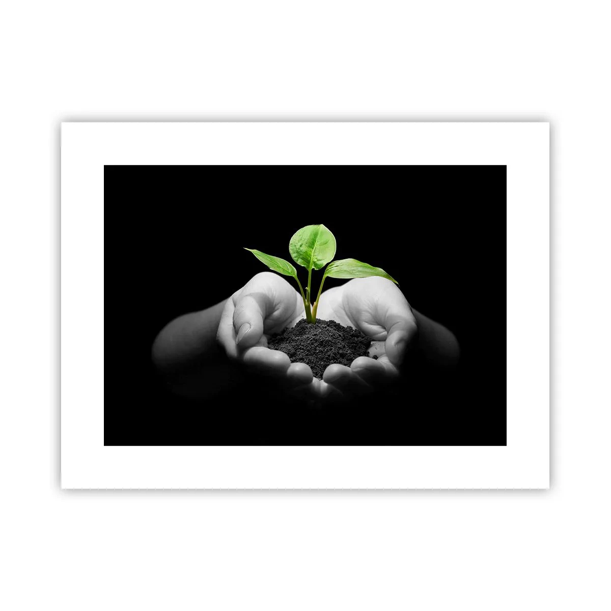 Poster - Amo la natura, la proteggo - 40x30 cm