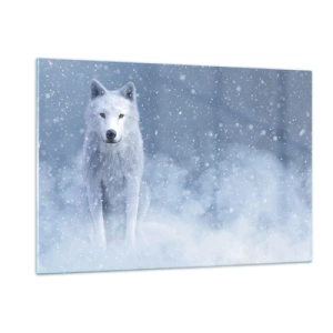 Quadro su vetro - Un lupo bianco in una tempesta di neve che guarda dritto davanti a sé - 120x80cm - Nello spirito dell'inverno - Decorazione murale moderna per soggiorno e camera da letto ARTTOR