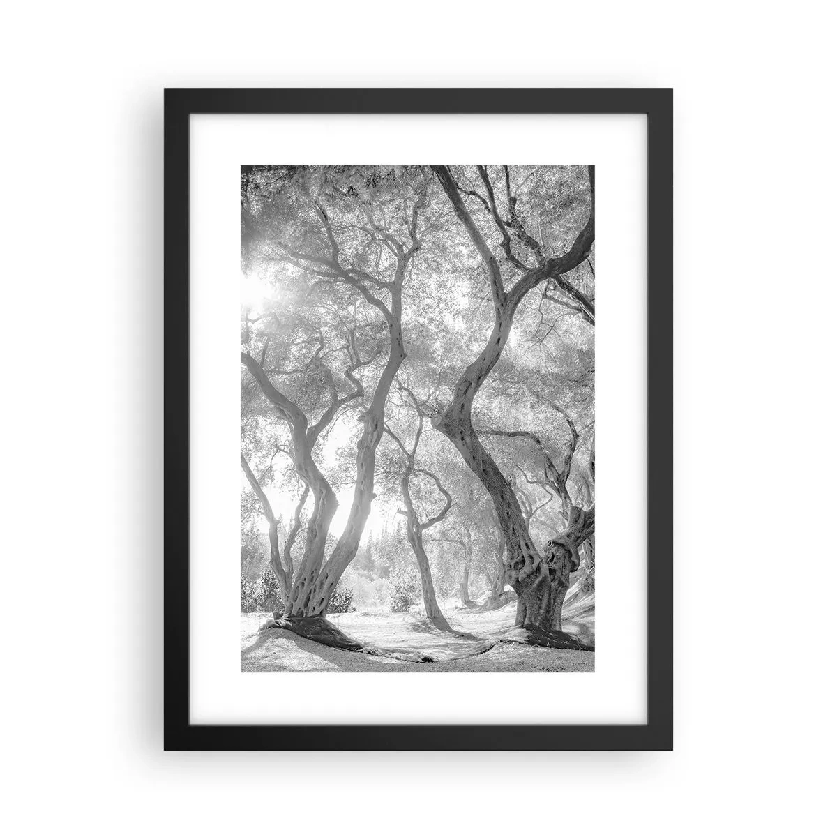 Poster in cornice nera - Nell'orto degli ulivi - 30x40 cm