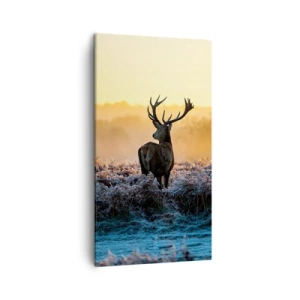 Quadro su tela - Stampe su Tela - Incoronato nelle sue terre - 45x80 cm