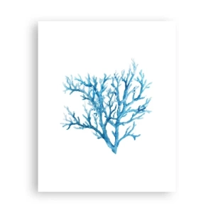 Poster - Filigrana marina - 40x50 cm