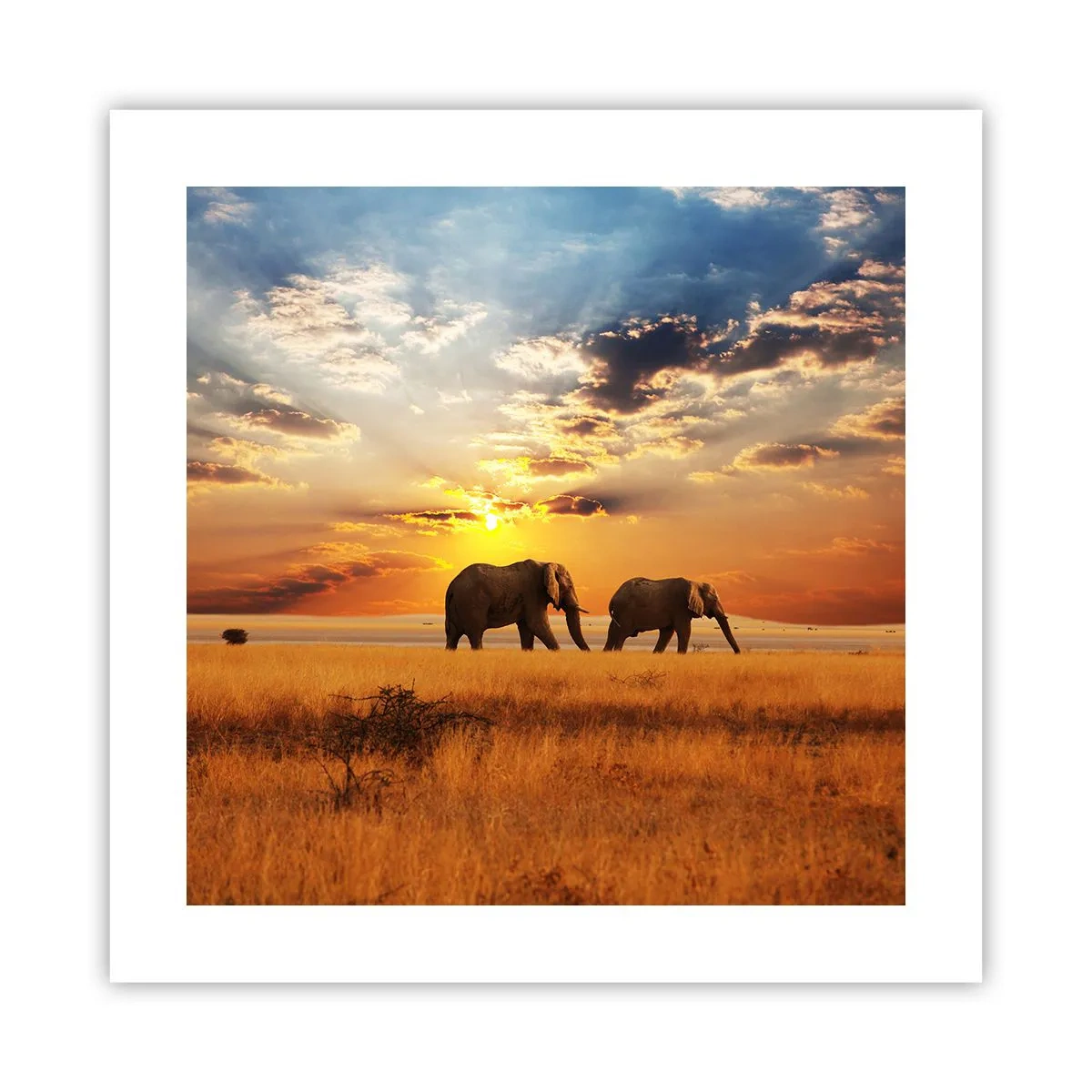 Poster - Passeggiata familiare - 40x40 cm