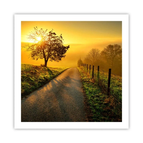 Poster - Pomeriggio di miele - 60x60 cm