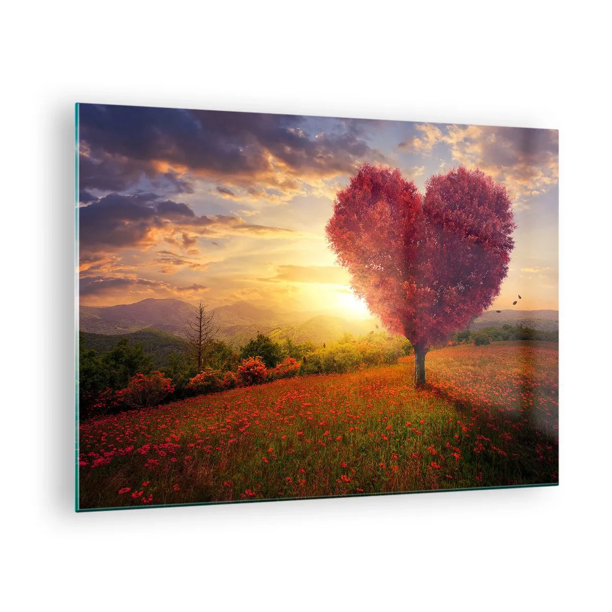 Quadro su vetro - Un albero a forma di cuore in un campo al tramonto - 70x50cm - Ti prende al cuore - Decorazione murale moderna per soggiorno e camera da letto ARTTOR
