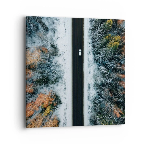 Quadro su tela - Stampe su Tela - Tagliando la foresta invernale - 40x40 cm