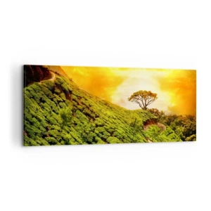Quadro su tela - Stampe su Tela - Verdi colline di piantagioni di tè al tramonto - 120x50cm - Sentiero tortuoso, pendio verde - Decorazione murale moderna per soggiorno e camera da letto ARTTOR