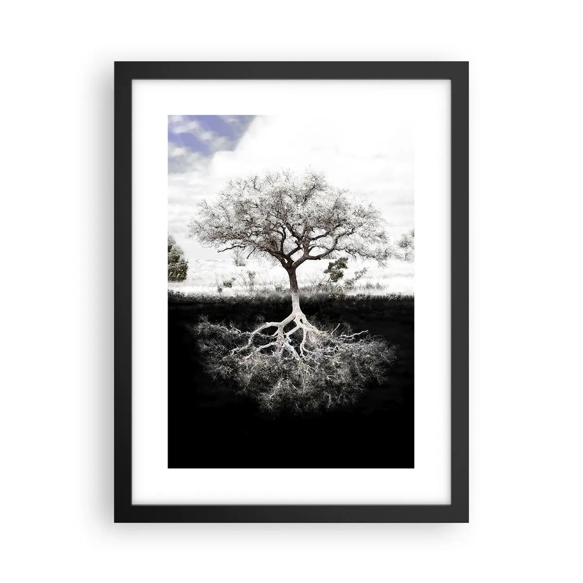 Poster in cornice nera - La scoperta della natura del mondo - 30x40 cm