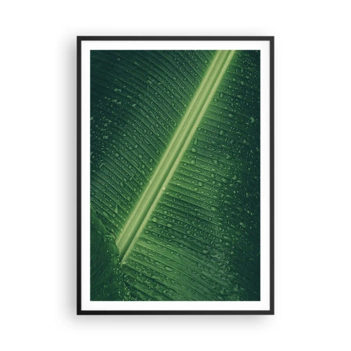 Poster in cornice nera - La struttura del verde - 70x100 cm