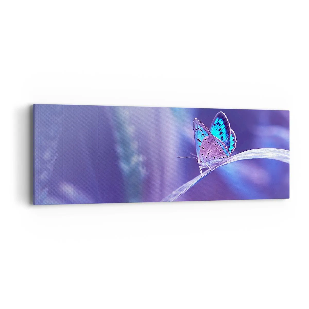 Quadro su tela - Stampe su Tela - Gioielli della natura - 90x30 cm