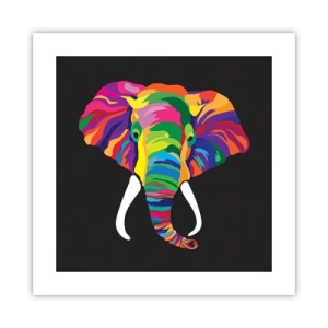Poster - L'elefante che faceva il bagno nell'arcobaleno - 40x40 cm