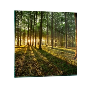 Quadro su vetro - La foto di ogni primavera - 30x30 cm