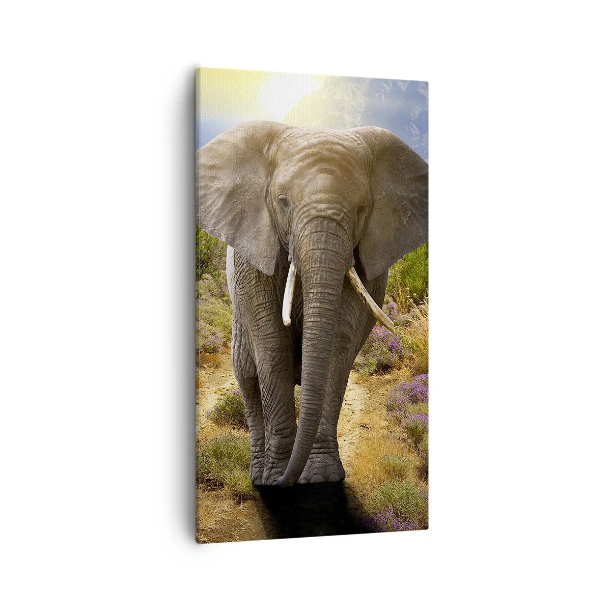 Quadro su tela - Stampe su Tela - Così era il paradiso - 55x100 cm