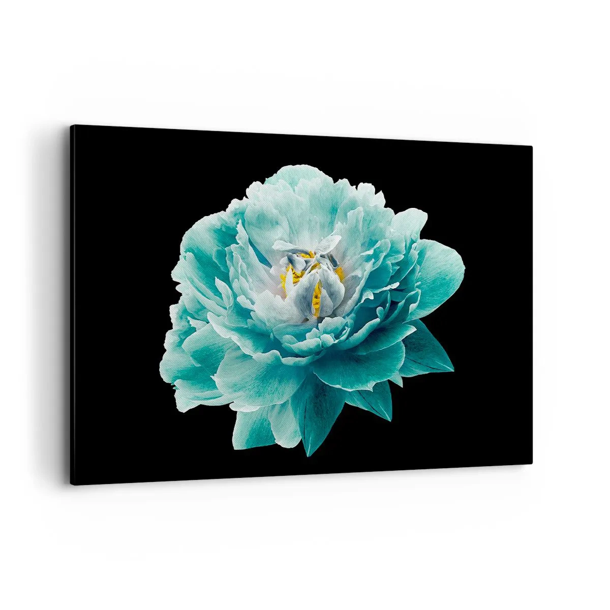 Quadro su tela - Stampe su Tela - Fiore di peonia turchese su sfondo nero - 120x80cm - Petali blu e oro - Decorazione murale moderna per soggiorno e camera da letto ARTTOR