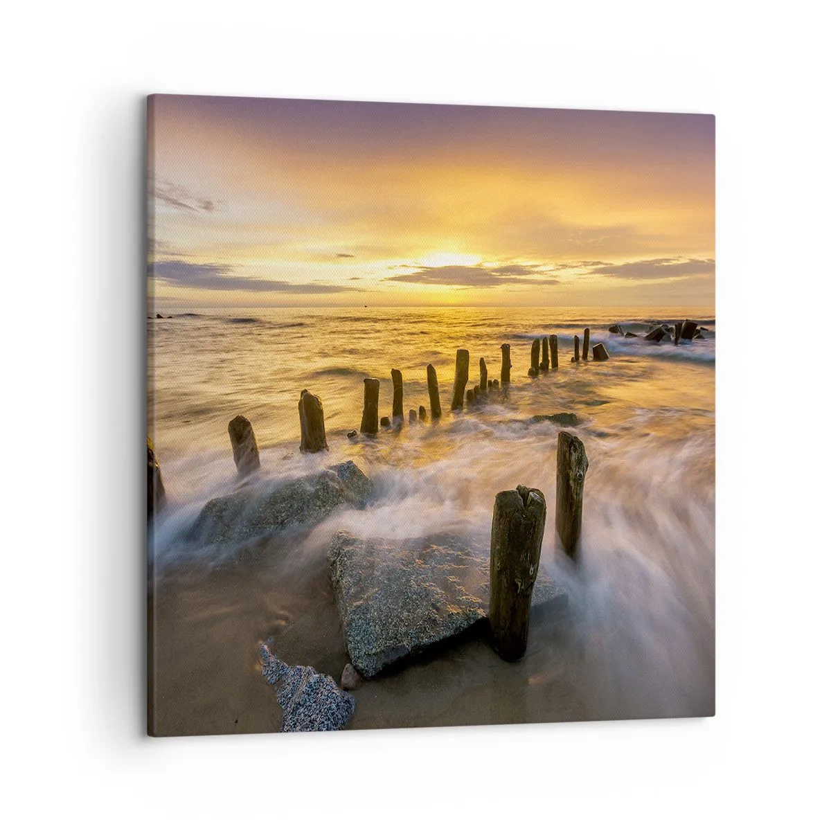 Quadro su tela - Stampe su Tela - La bellezza selvatica del Baltico - 50x50 cm