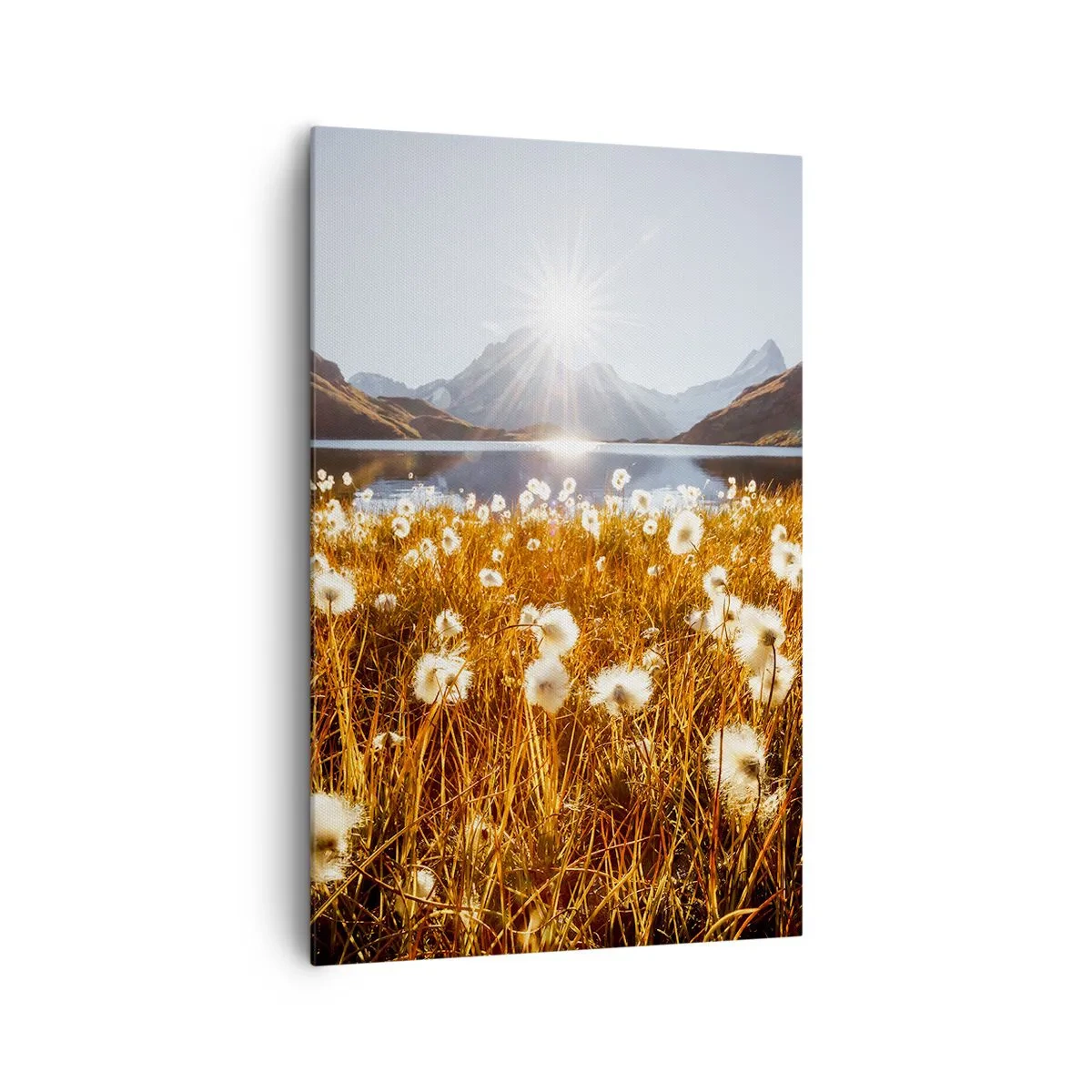 Quadro su tela - Stampe su Tela - Durezza delle pietre, morbidezza dell'erba - 80x120 cm