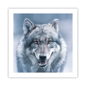 Poster - Accetti la sfida? - 50x50 cm