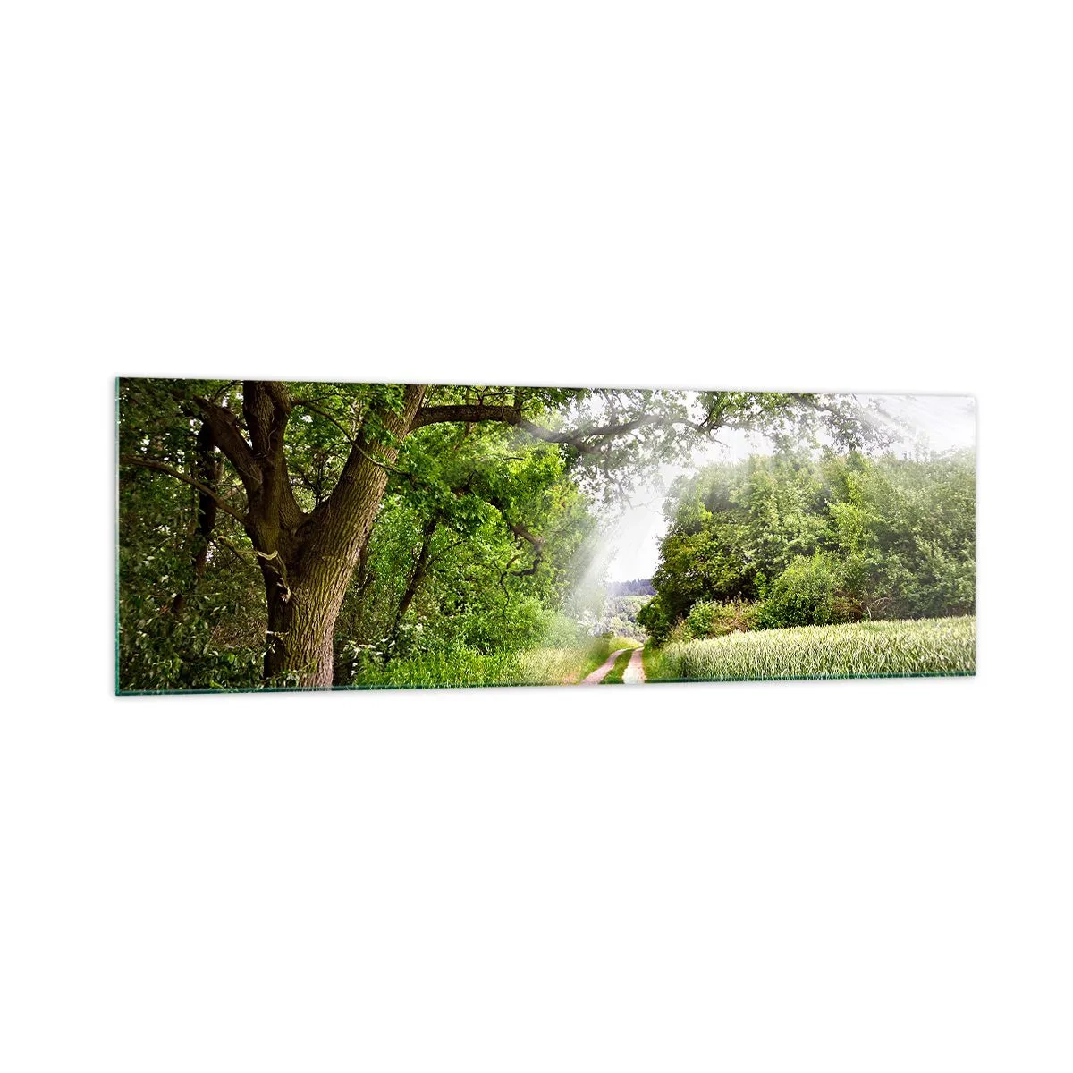 Quadro su vetro - Una strada sterrata tra alberi verdi e luce solare - 160x50cm - Et in Arcadia ego - Decorazione murale moderna per soggiorno e camera da letto ARTTOR