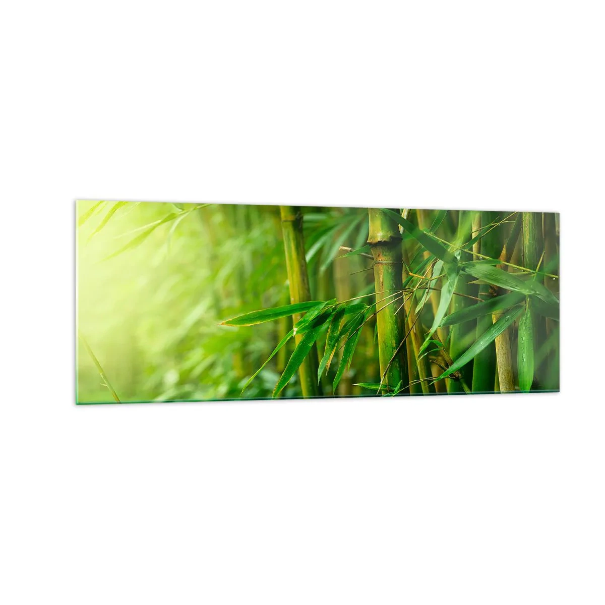 Quadro su vetro - Foresta di bambù verde in luce soffusa - 140x50cm - Conoscere il verde in sé - Decorazione murale moderna per soggiorno e camera da letto ARTTOR