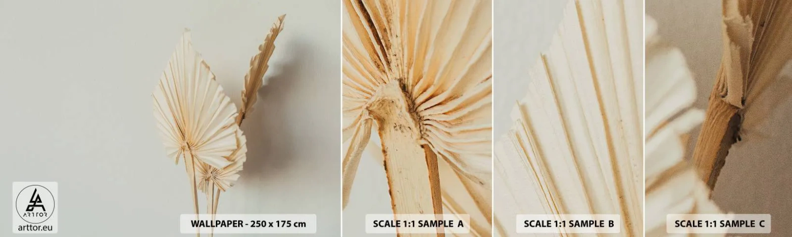 Campione Di Fotomurale Standard Eco - Quando serve il sollievo - Luminoso, Minimalismo, Foglia - 100x30 cm