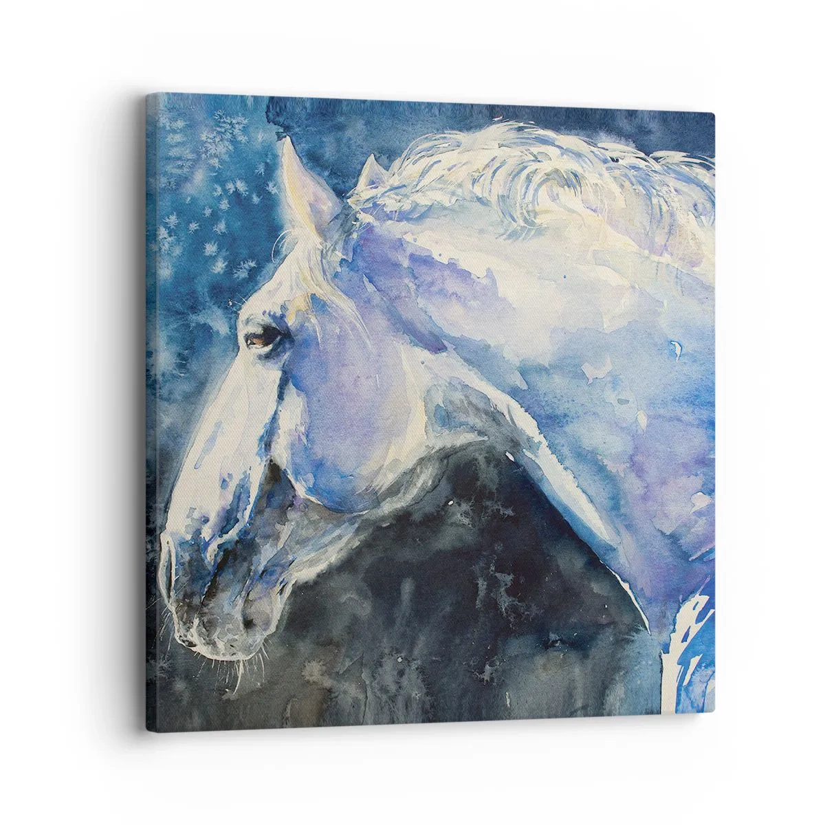 Quadro su tela - Stampe su Tela - Ritratto in luce blu - 30x30 cm