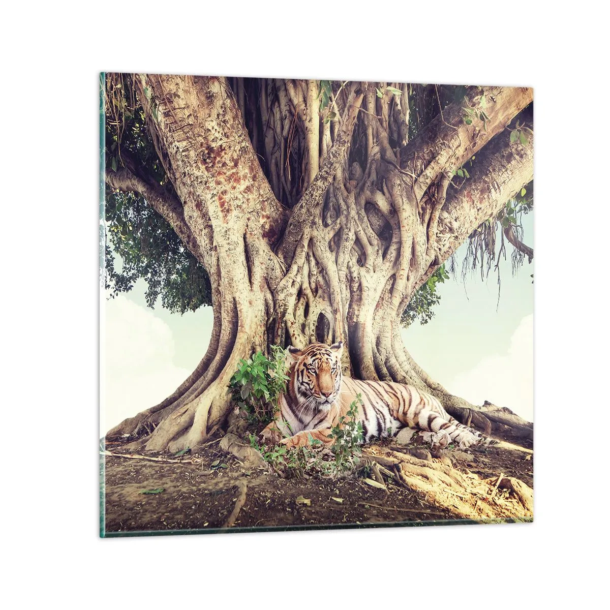 Quadro su vetro - Vista dal Libro della Genesi - 50x50 cm