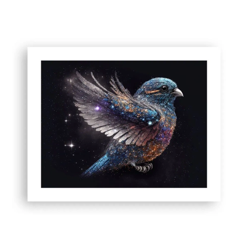 Poster - Passero di diamante - 50x40 cm