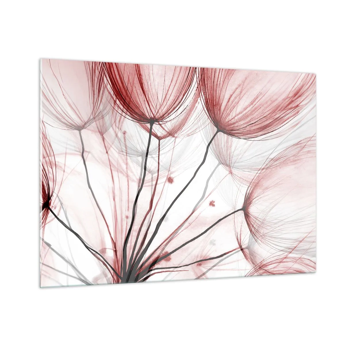 Quadro su vetro - Sottili denti di leone nelle tonalità del rosa e del nero - 100x70cm - Prima del decollo - Decorazione murale moderna per soggiorno e camera da letto ARTTOR