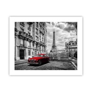 Poster - Predatore in città - 50x40 cm