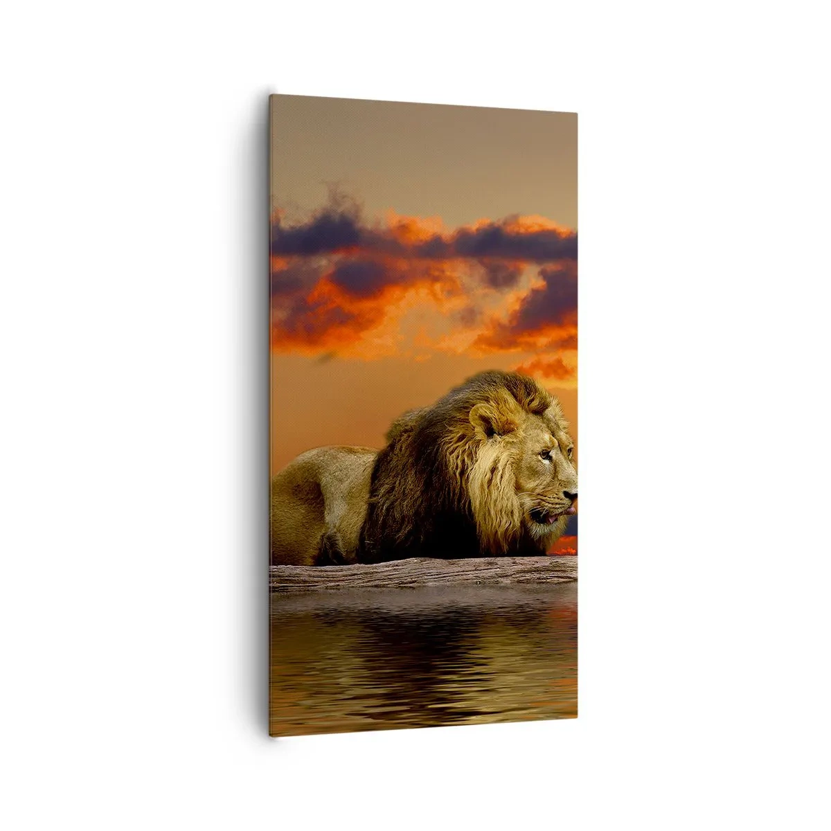 Quadro su tela - Stampe su Tela - Il re della natura - 65x120 cm