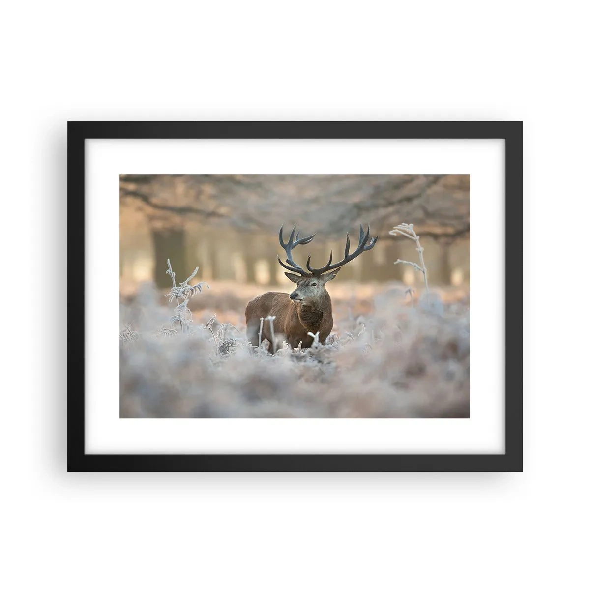 Poster in cornice nera - Fresco mattino - 40x30 cm