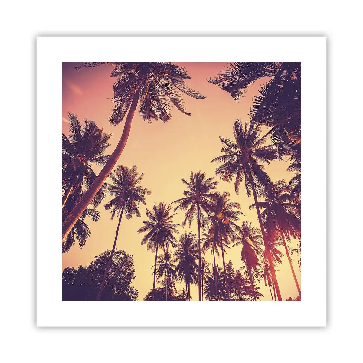 Poster - Composizione tropicale - 40x40 cm
