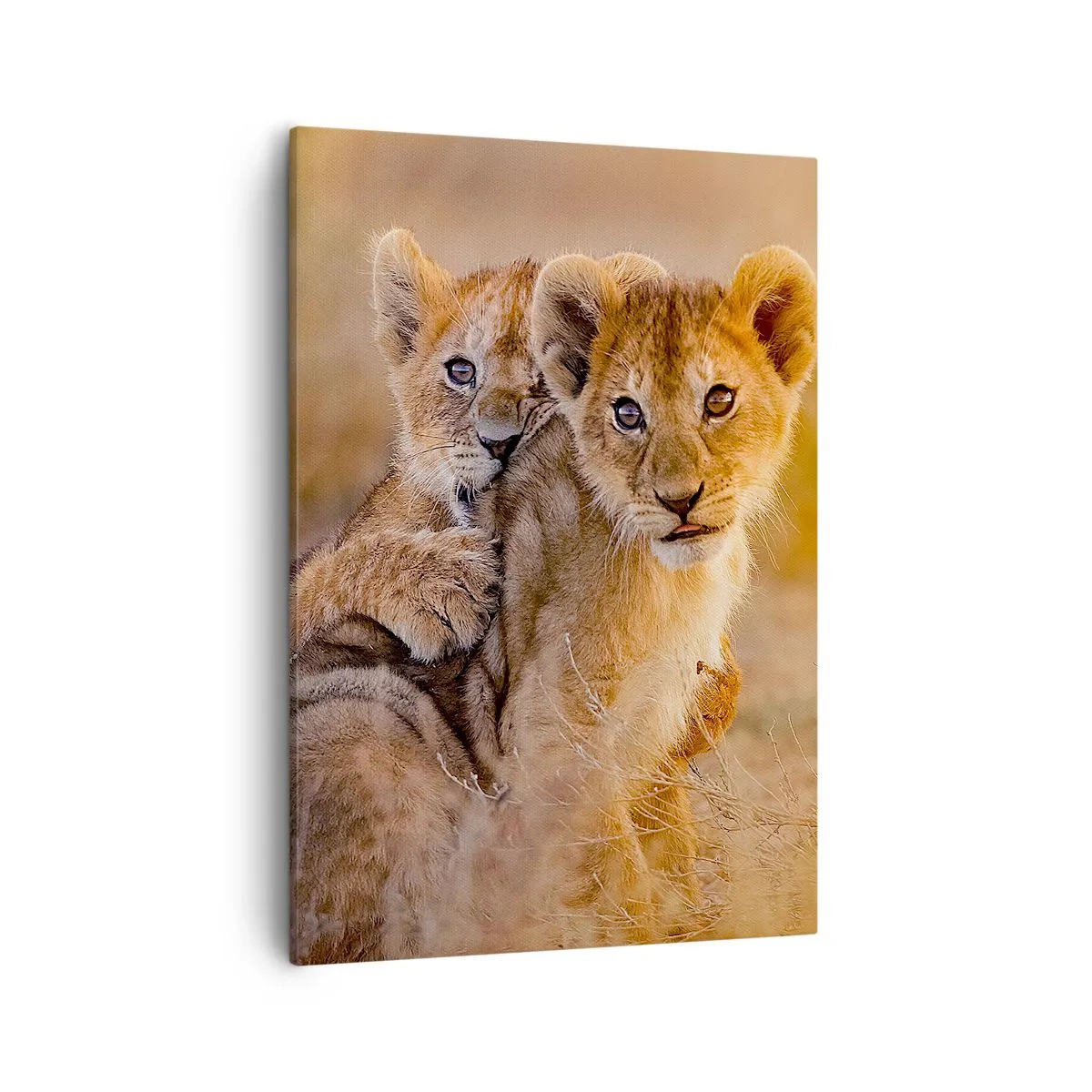 Quadro su tela - Stampe su Tela - Adorabili cuccioli di leone nel loro ambiente naturale - 50x70cm - Non disturbare! Giochiamo - Decorazione murale moderna per soggiorno e camera da letto ARTTOR