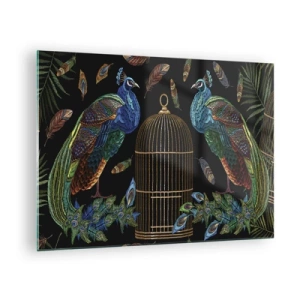 Quadro su vetro - Pavoni colorati e una gabbia su uno sfondo nero - 70x50cm - Con gli abiti reali - Decorazione murale moderna per soggiorno e camera da letto ARTTOR
