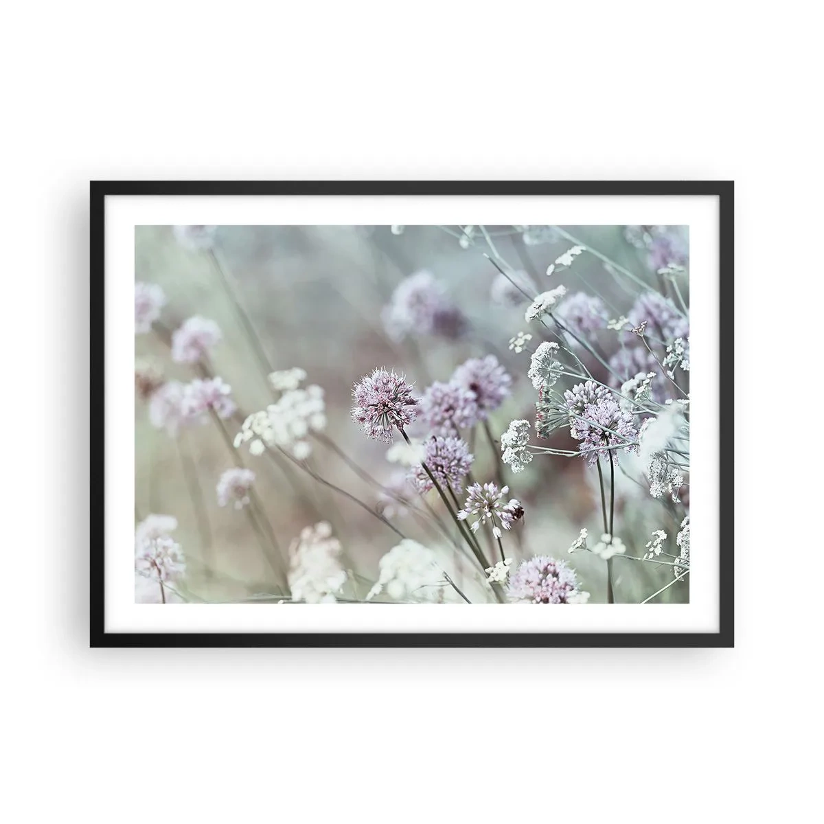 Poster in cornice nera - Fiori delicati in tonalità pastello - 70x50cm - Le dolci filigrane delle erbe - Decorazione murale moderna per soggiorno e camera da letto ARTTOR