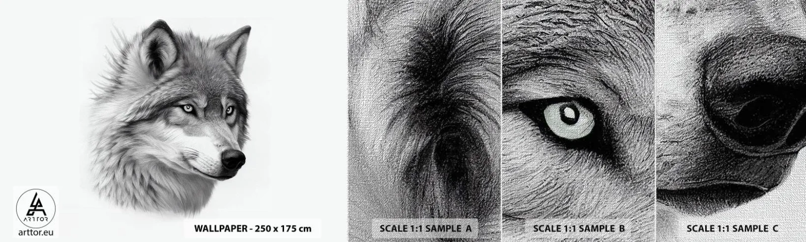 Campione di Fotomurale Premium Canvas - Alfa, senza dubbio - Lupo, Animale, scandinavo - 100x30 cm