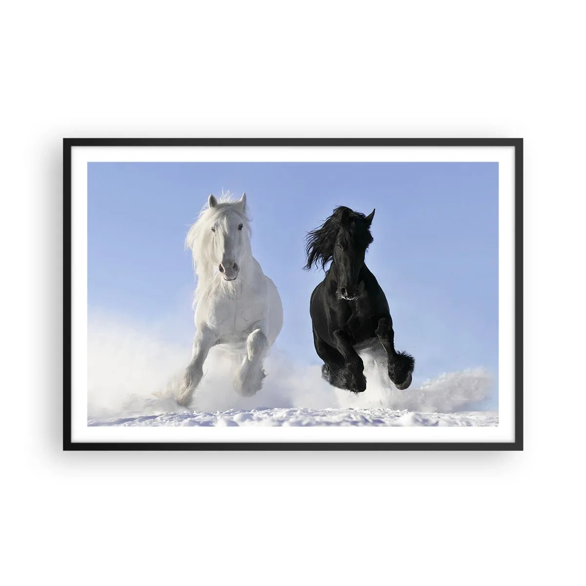 Poster in cornice nera - Galoppo in bianco e nero - 91x61 cm