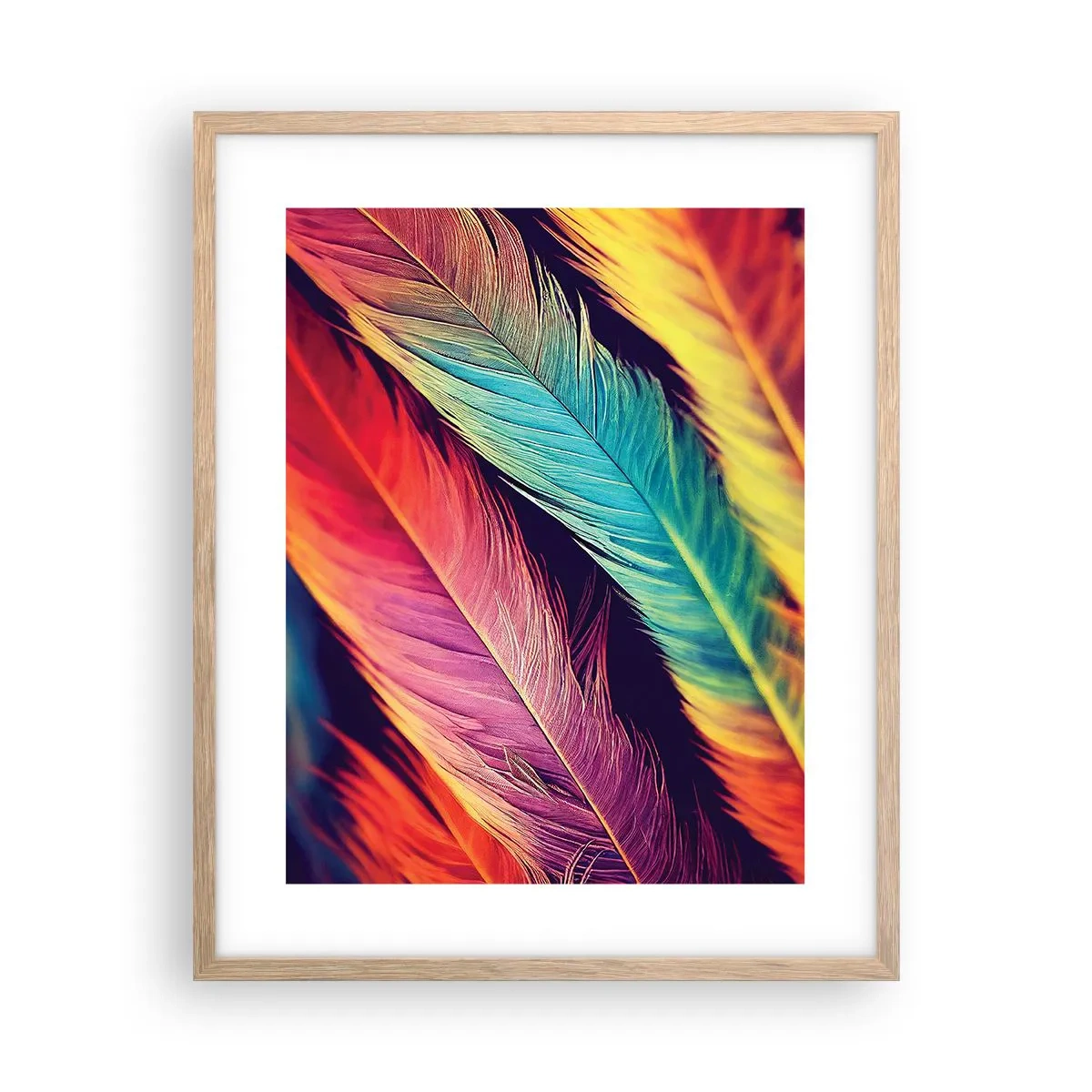 Poster in cornice rovere chiaro - Arcobaleno piumato - 40x50 cm