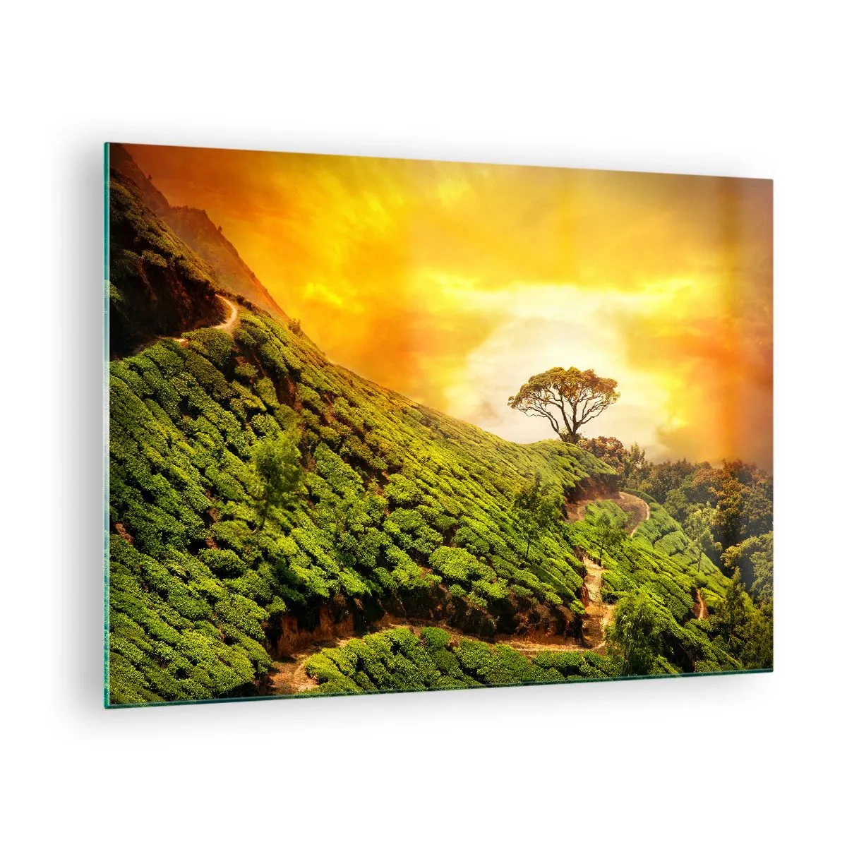 Quadro su vetro - Colline verdi con un albero solitario al tramonto - 70x50cm - Sentiero tortuoso, pendio verde - Decorazione murale moderna per soggiorno e camera da letto ARTTOR