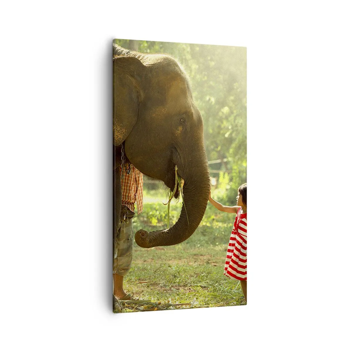 Quadro su tela - Stampe su Tela - La forza dell'amicizia - 55x100 cm