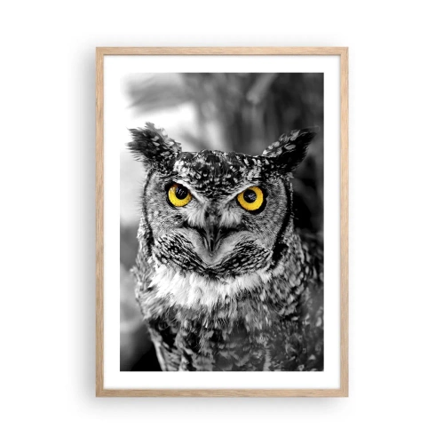 Poster in cornice rovere chiaro - Non si può nascondere niente - 50x70 cm