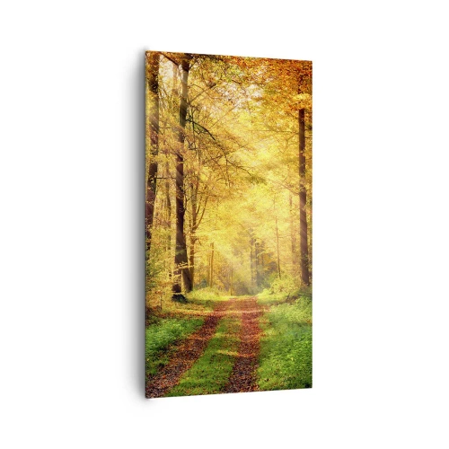 Quadro su tela - Stampe su Tela - Il silenzio d'oro del bosco - 65x120 cm