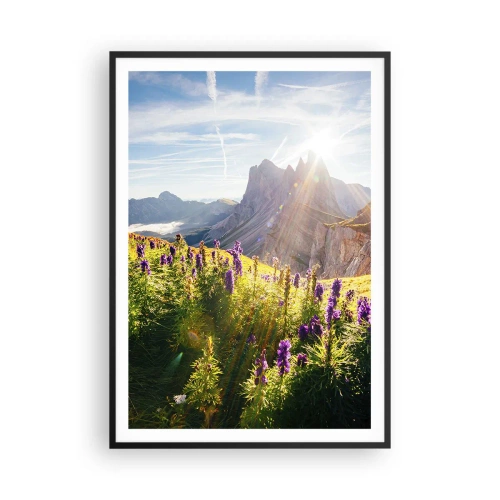 Poster in cornice nera - La vita segreta delle erbe - 70x100 cm