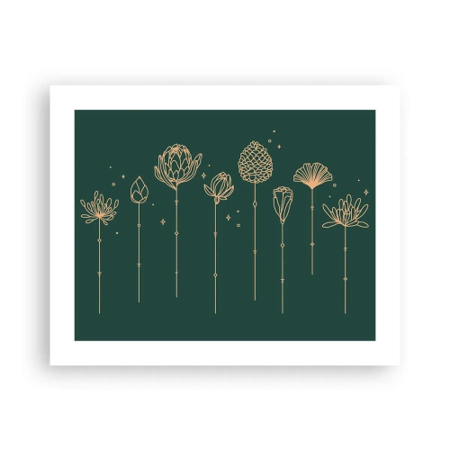 Poster - La famiglia delle erbe - 50x40 cm