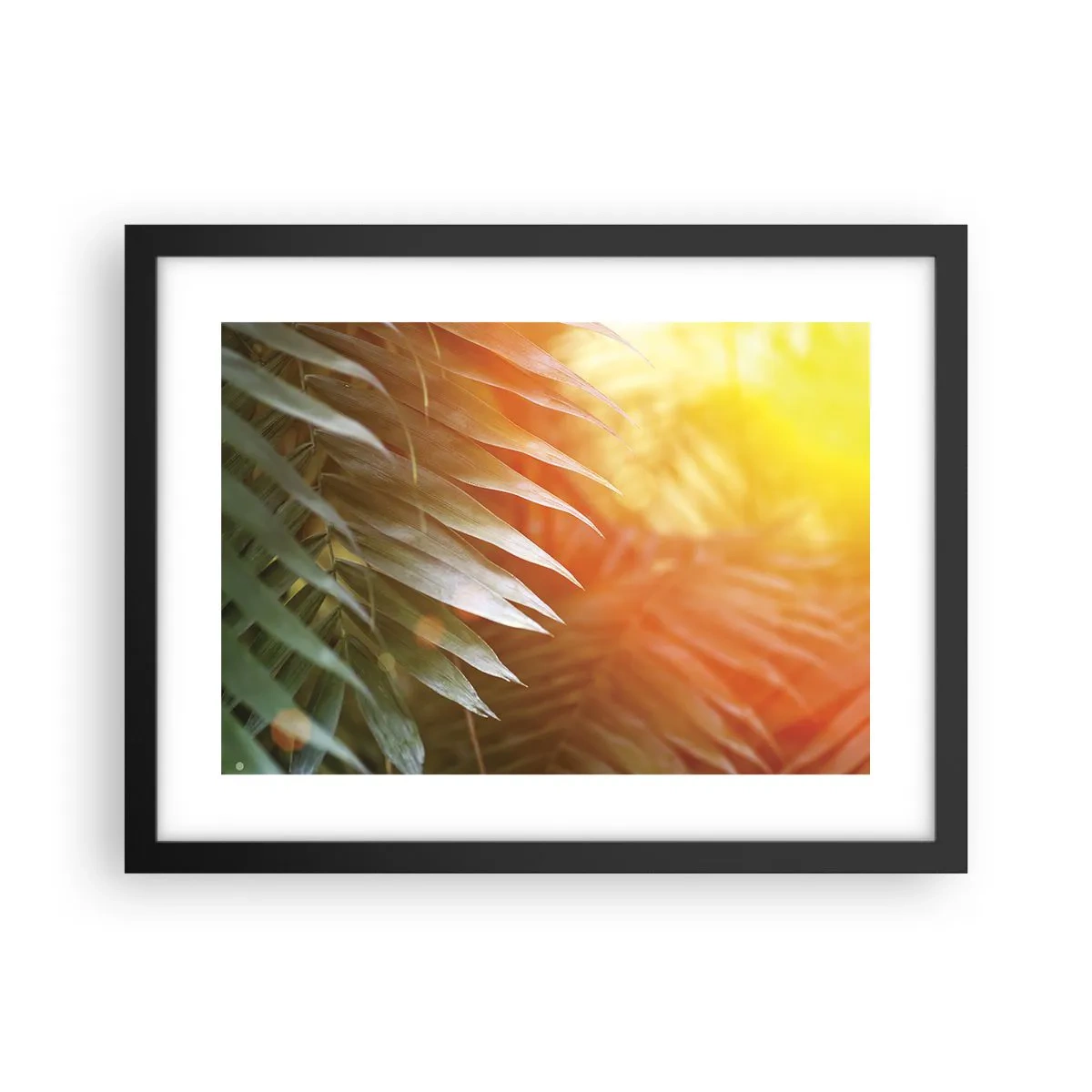 Poster in cornice nera - L'alba nella giungla - 40x30 cm