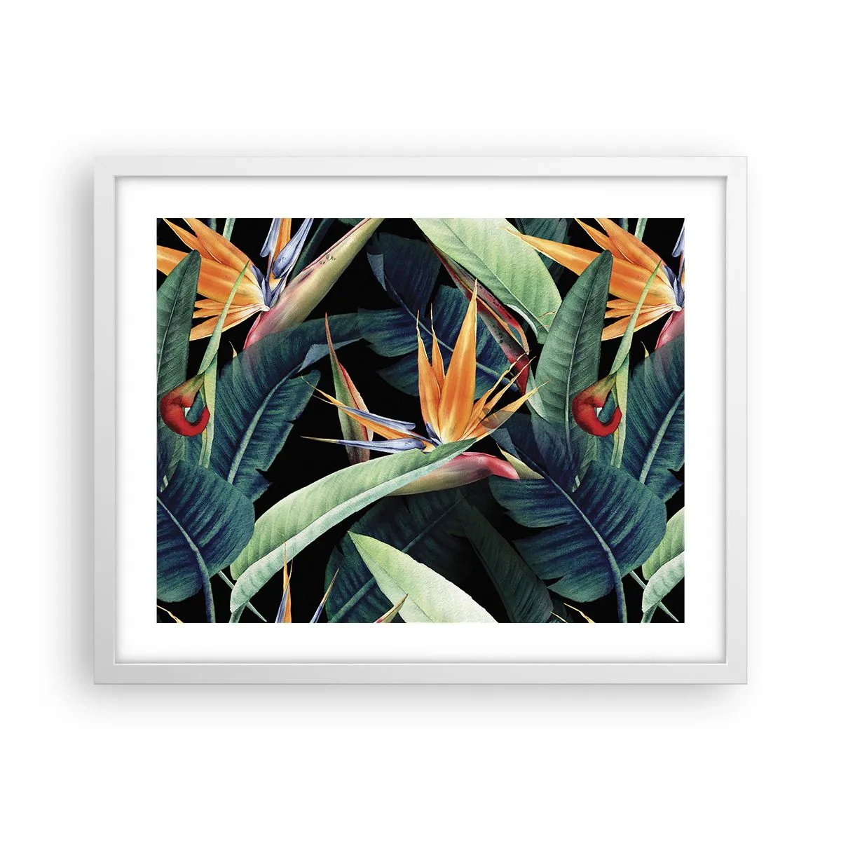 Poster in cornice bianca - I fiori fiammeggianti dei tropici - 50x40 cm