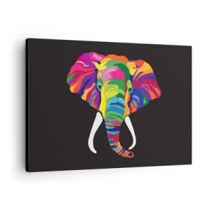 Quadro su tela - Stampe su Tela - Un'immagine colorata di un elefante su uno sfondo nero - 70x50cm - L'elefante che faceva il bagno nell'arcobaleno - Decorazione murale moderna per soggiorno e camera da letto ARTTOR
