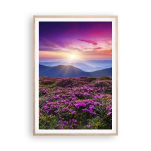 Poster in cornice rovere chiaro - Il profumo dei fiori freschi del campo - 70x100 cm